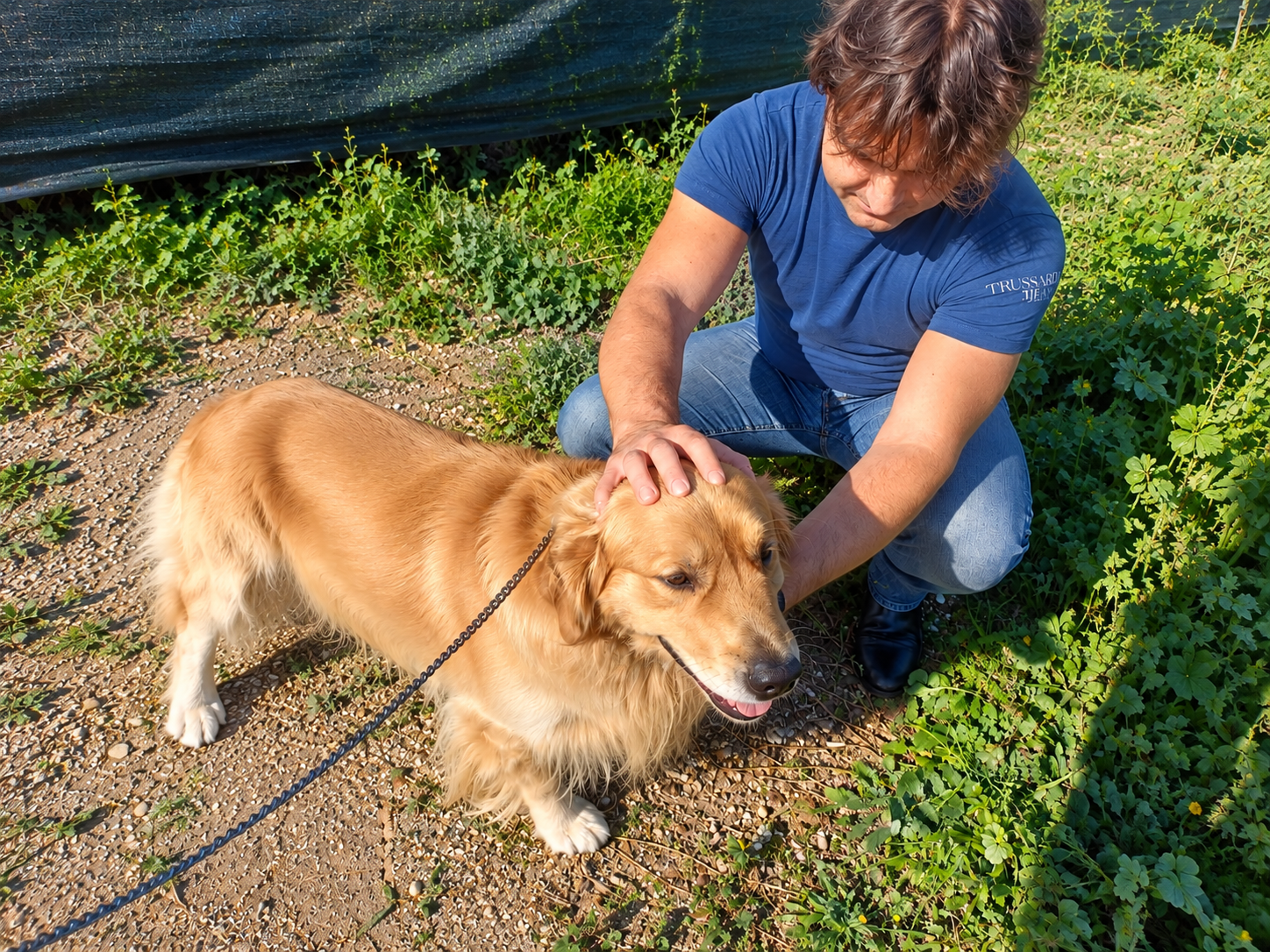 Uomo e golden retriever al sole